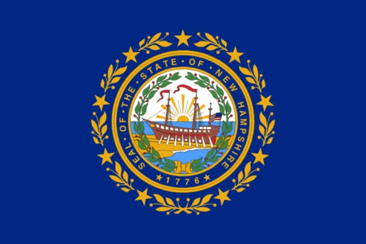 State flag of New Hampshire by Pixnio.com