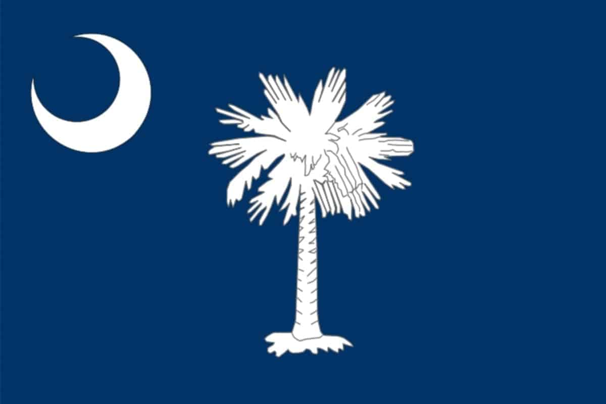 State flag of South Carolina by Pixnio.com