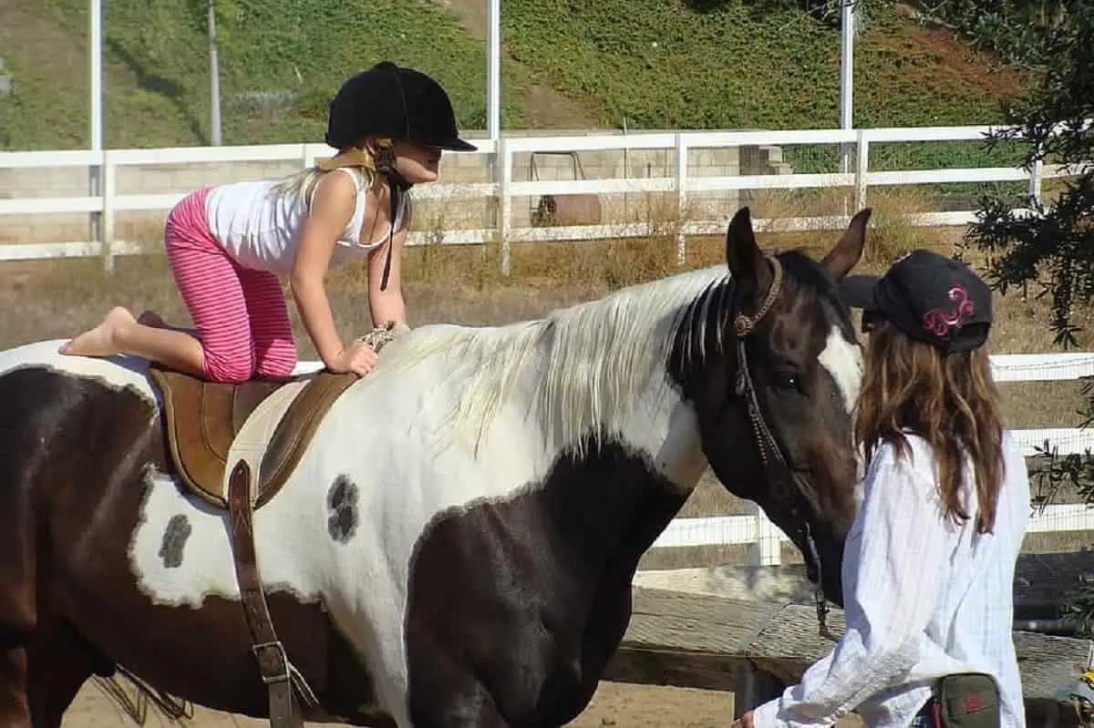 Toddler on horse back.