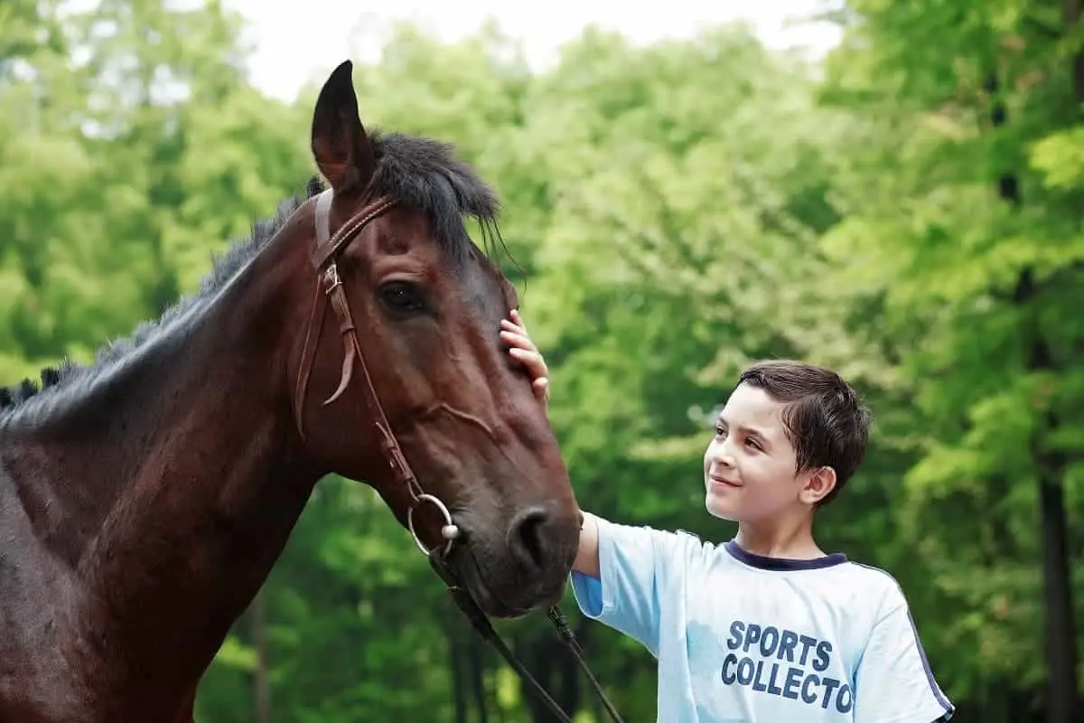 Boy patting horse