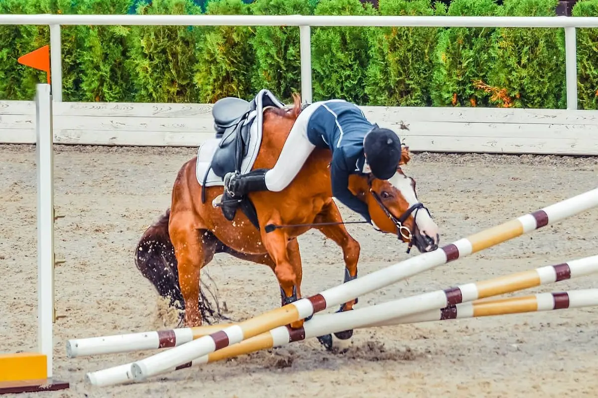 Rider slides over horses neck as horse refuses to jump