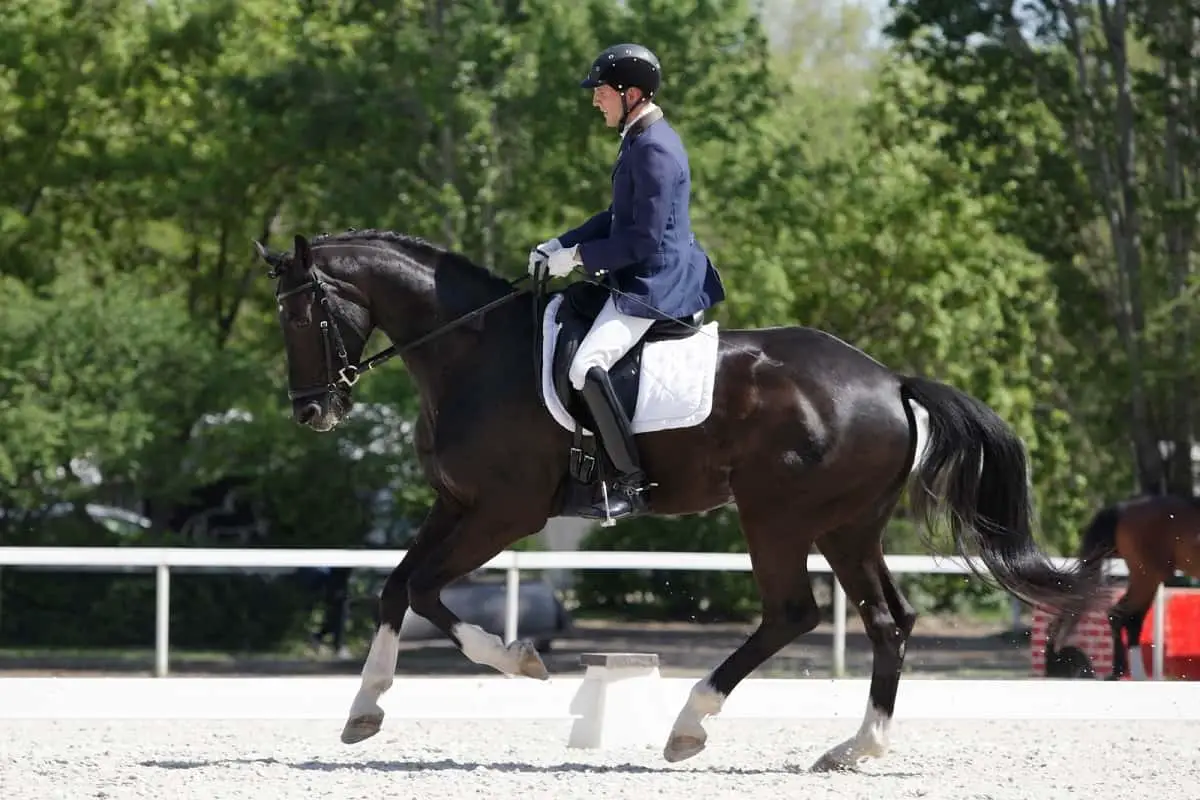 Man dressed up in riding gear for dressage event.