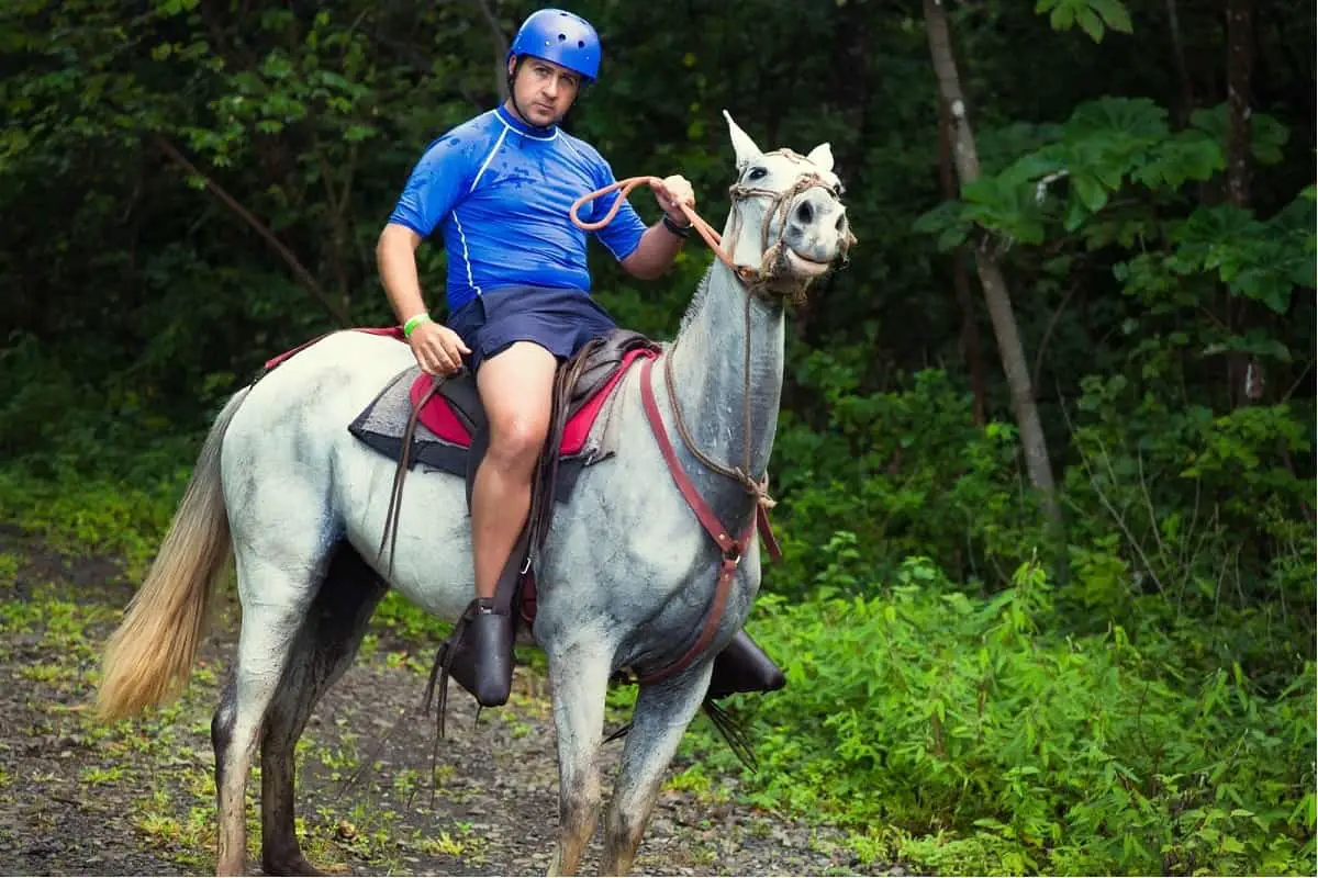 man wearing blue shirt and blue skate helmet riding grey horse