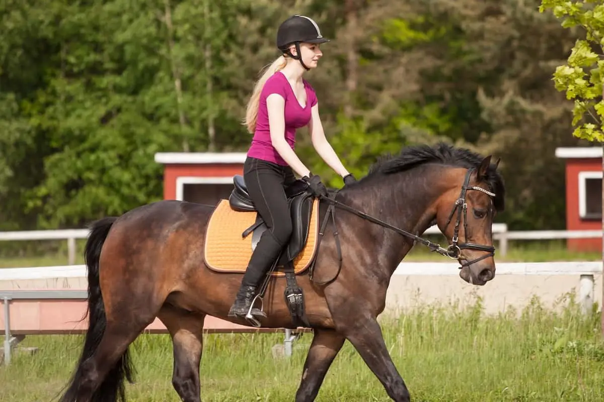 Woman in pink top wearing black helmet riding horse