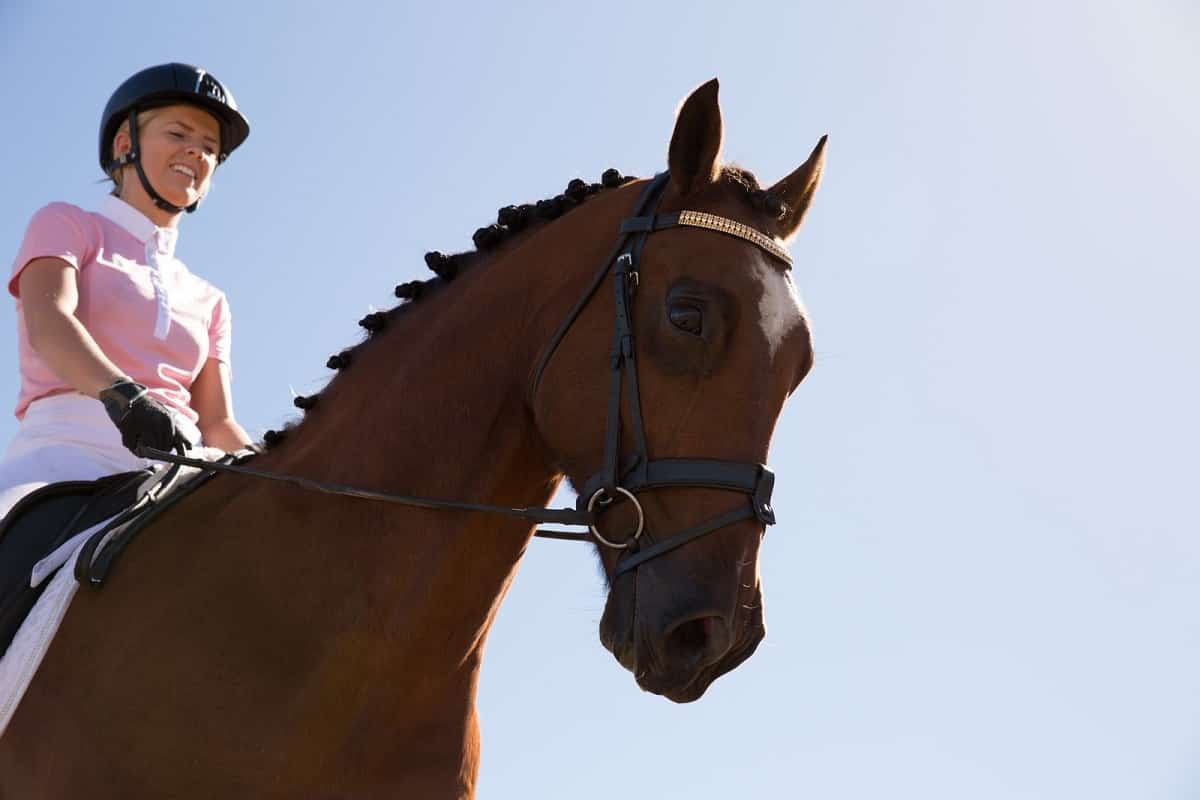 woman wearing pink top and equestrian helmet riding large brown horse