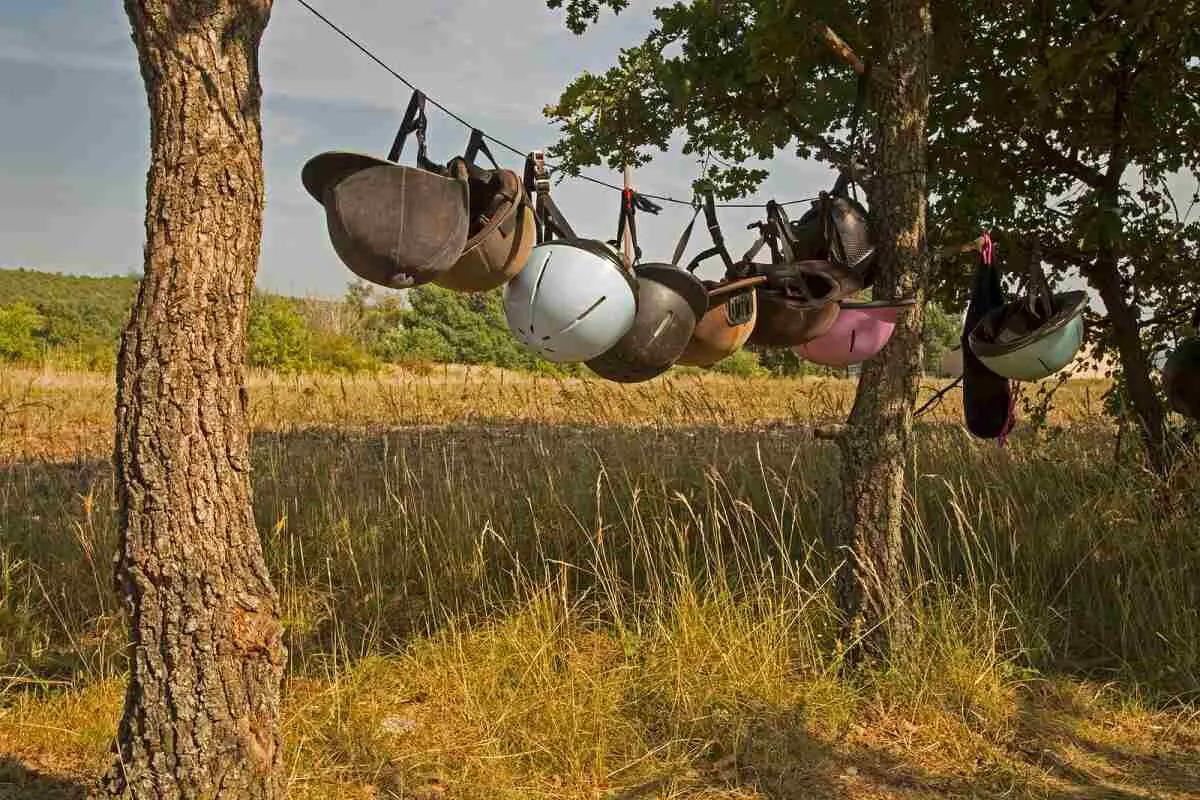several types and colors of horse riding helmets hanging strung between two trees in the countryside