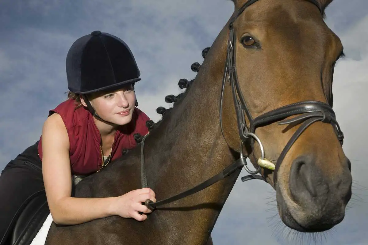 young woman wearing red top and black riding helmet sitting on horse leaning forward to take the reins